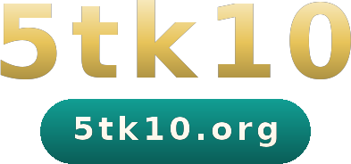 5tk10 logo